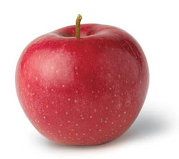 Paula Apple Paradise Fruit