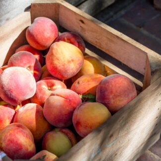 crate of peaches