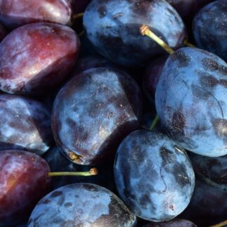 Castleton plums