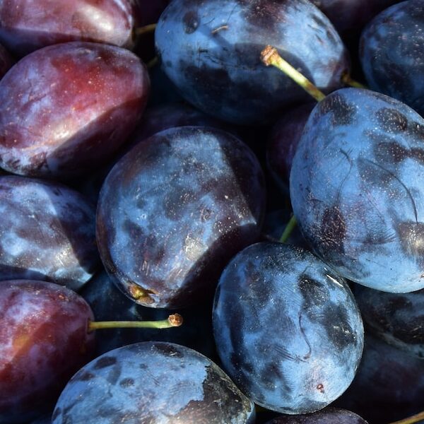 Castleton plums