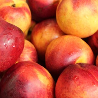 nectarines