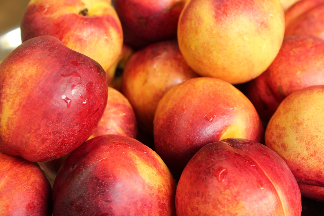 Yellow Nectarine – Paradise Fruit