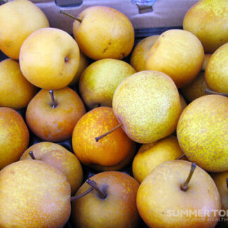 Asian Pears